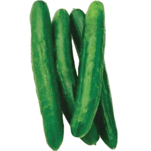 TIMUN JEPUN 1KG